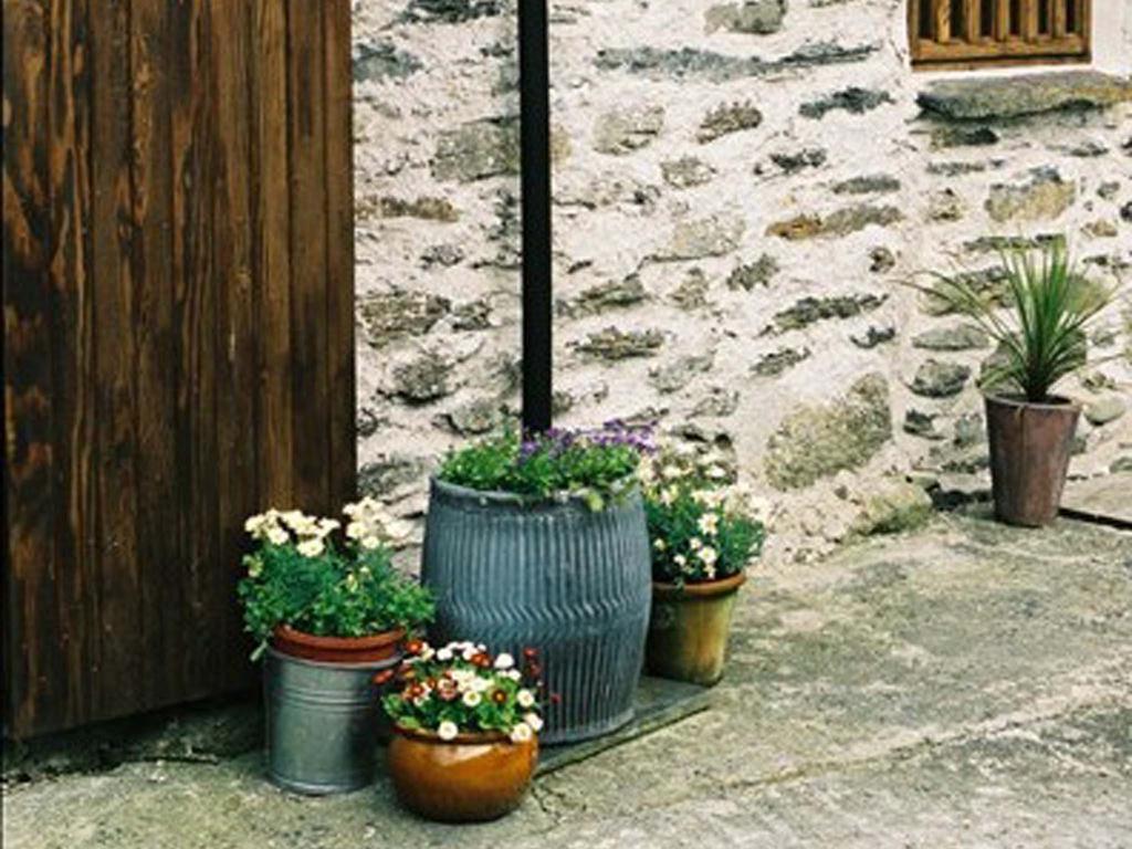 Plasglasgwm Betws-y-Coed Rom bilde